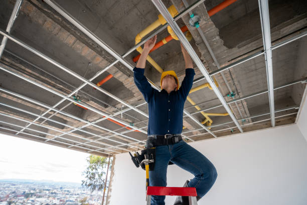 Best Affordable Plumbing Services  in South Patrick Shores, FL